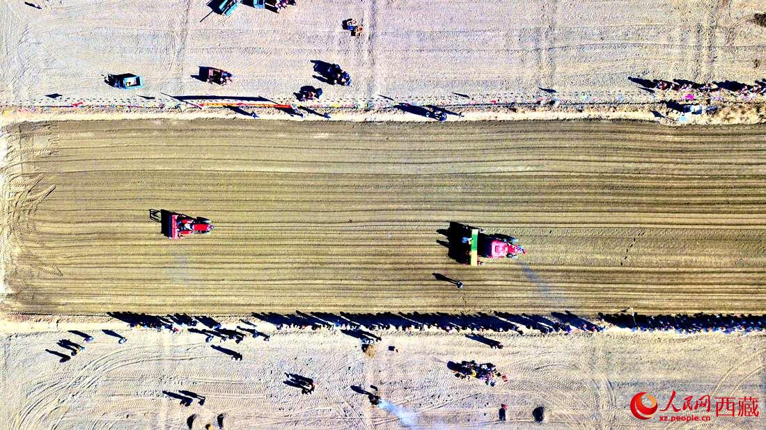 山南市扎囊縣扎其鄉(xiāng)孟卡榮村迎來春耕第一犁。人民網(wǎng) 次仁羅布攝