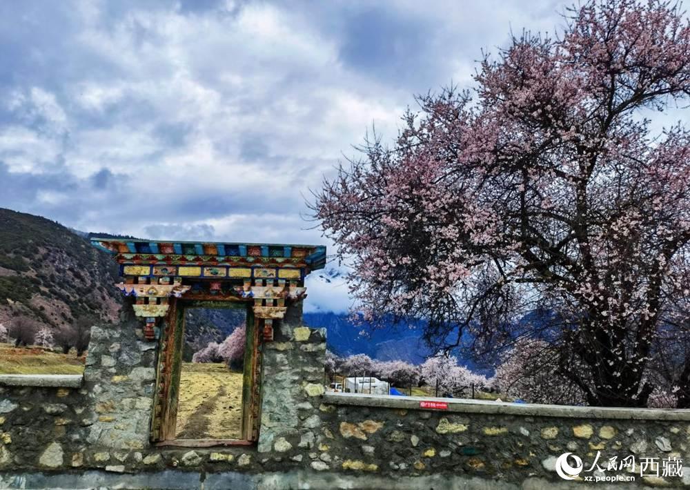 桃花下的藏式民居。人民網(wǎng) 李海霞攝