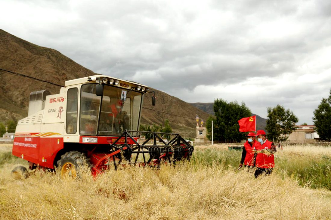 陣陣機(jī)械的轟鳴聲傳來(lái)豐收的喜悅。洛克攝