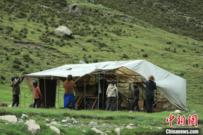 圖為牧民們在秋季牧場搭建帳篷?！÷蹇?攝