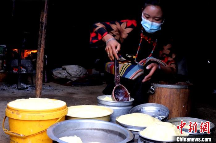 圖為牧民正在制作酥油?！∪湛t文聯(lián)供圖