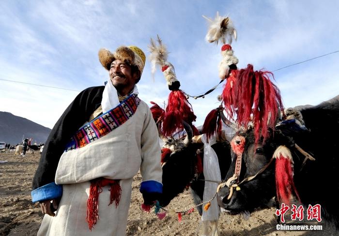 資料圖為2013年3月16日，拉薩市堆龍德慶區(qū)德慶村的農(nóng)民牽著牦牛參加春耕儀式，按照傳統(tǒng)方式由牦牛開(kāi)第一犁。 <a target='_blank' href='/'><p  align=