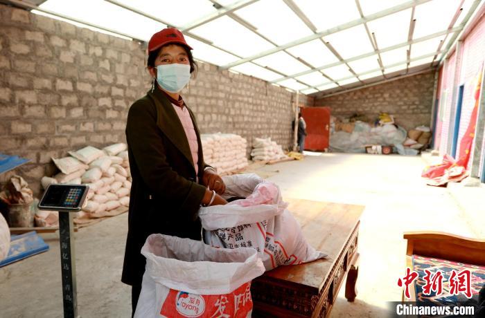 圖為寧重崗村村民扎西才措把自家的油菜籽送到合作社銷售?！〖卫杩h融媒體中心供圖