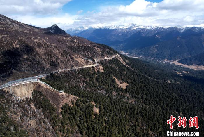 2月17日，西藏林芝魯朗林海。(無人機(jī)照片) 李林 攝