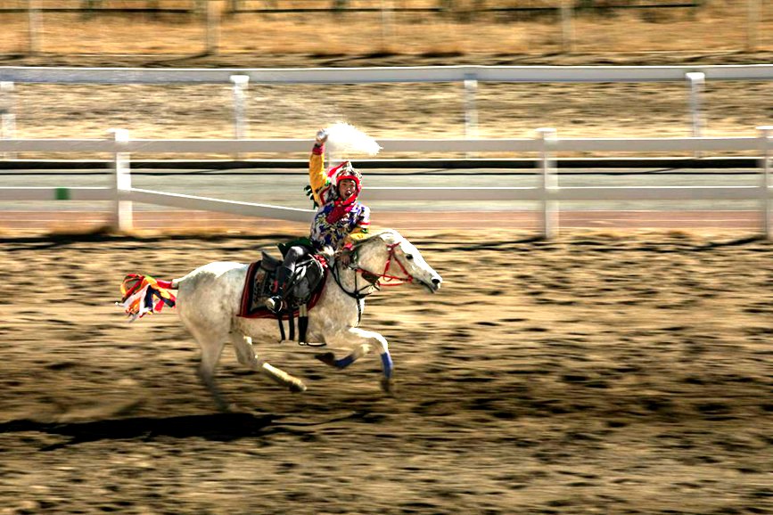 藏歷新年，精彩的馬術(shù)表演。張靜攝