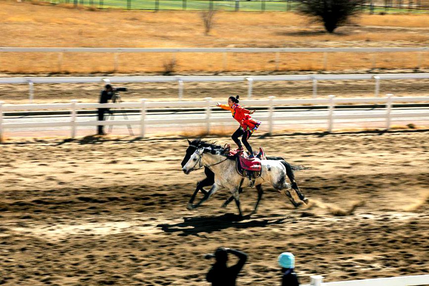 藏歷新年，精彩的馬術(shù)表演。張靜攝