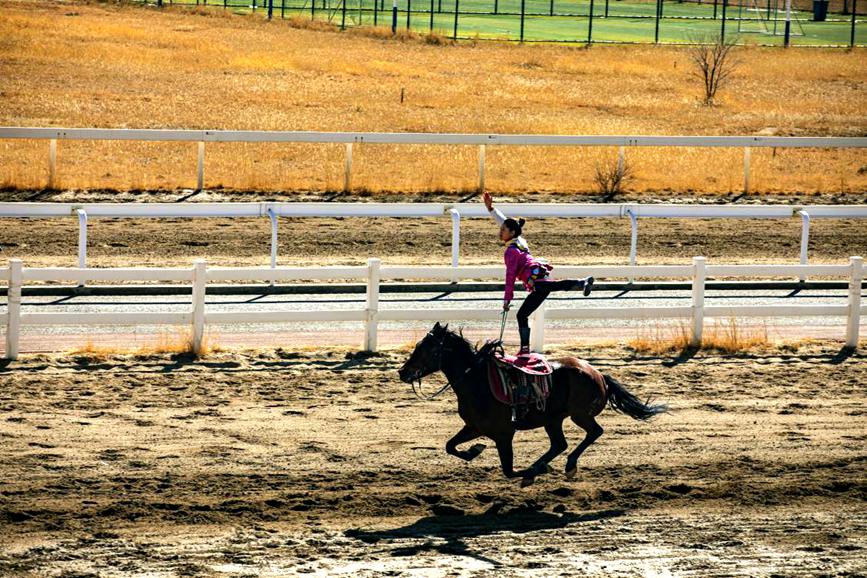 藏歷新年，精彩的馬術(shù)表演。張靜攝