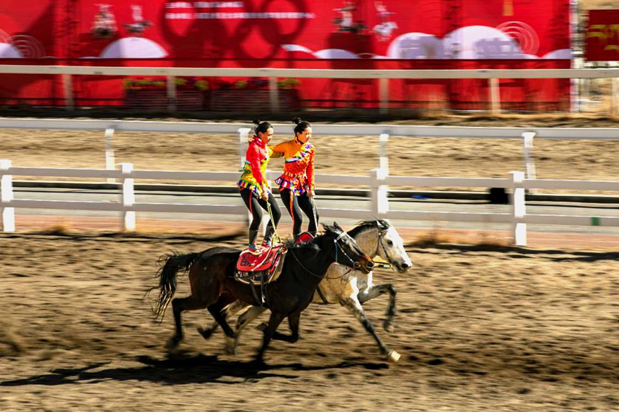 藏歷新年，精彩的馬術(shù)表演。張靜攝