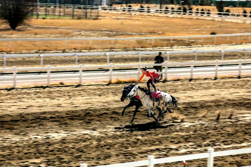 藏歷新年，精彩的馬術(shù)表演。張靜攝
