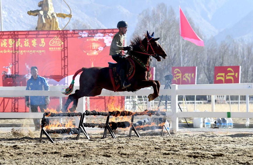 藏歷新年，精彩的馬術(shù)表演。潘多攝