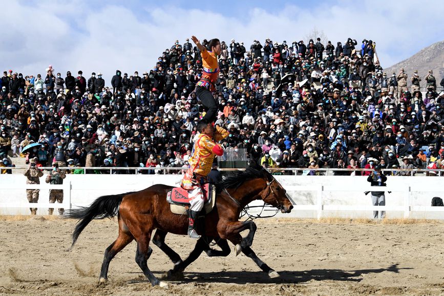 藏歷新年，精彩的馬術(shù)表演。潘多攝