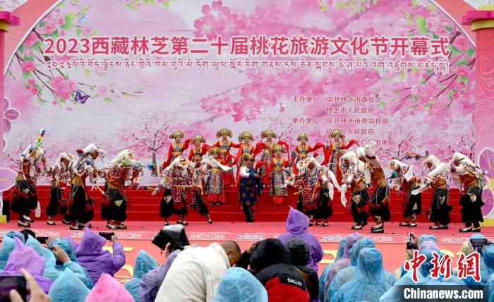 3月28日，西藏林芝第二十屆桃花旅游文化節(jié)開幕式上的文藝表演?！±盍?攝