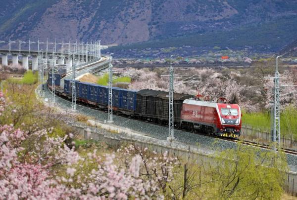 人間桃花源！林芝桃花有多絕？