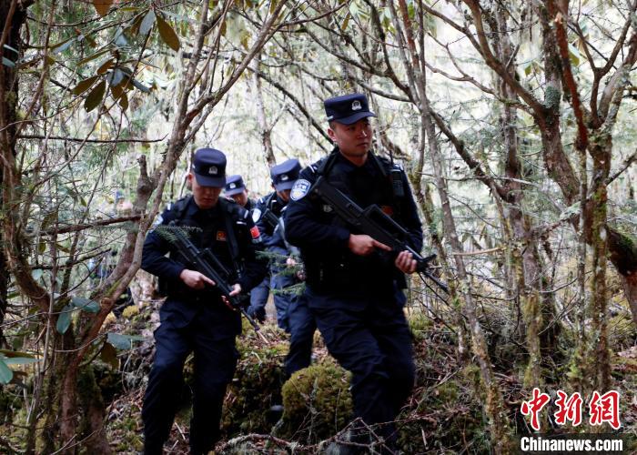山南邊境管理支隊玉麥邊境派出所民警在邊境原始森林里開展邊境巡邏。　鄭琦山 攝