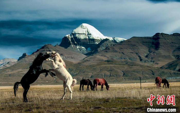 圖為參展攝影師拍攝的西藏阿里岡仁波齊?！≈鬓k方 供圖