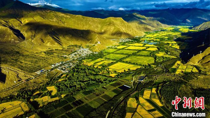 圖為山南雍布拉康附近農(nóng)田?！埼?攝