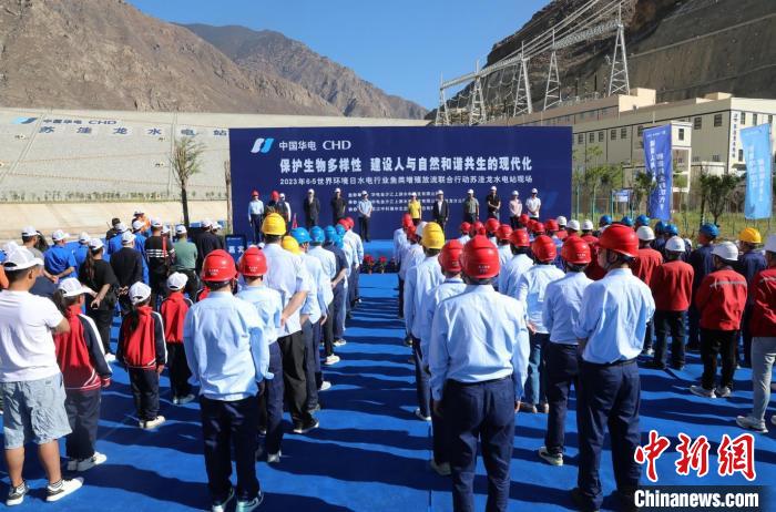 圖為蘇洼龍水電站魚類放流現(xiàn)場?！√K洼龍水電站供圖