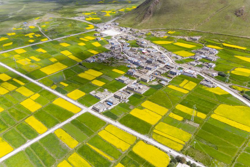 航拍道布龍村，依山傍水，阡陌縱橫。
