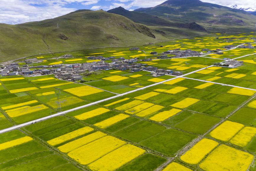 航拍道布龍村，依山傍水，阡陌縱橫。
