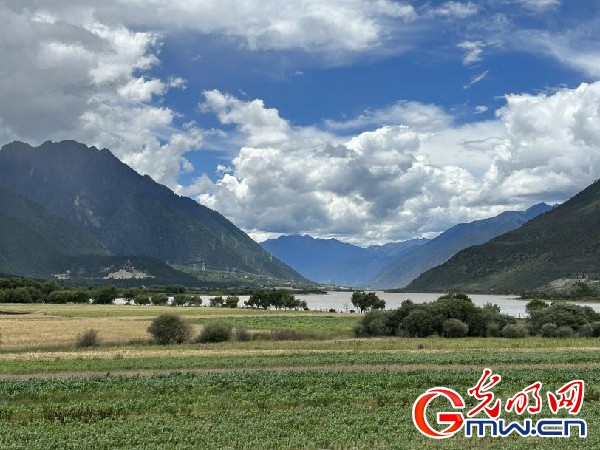 我們的家園｜林芝米林縣：河長(zhǎng)護(hù)藥洲，碧水映花谷