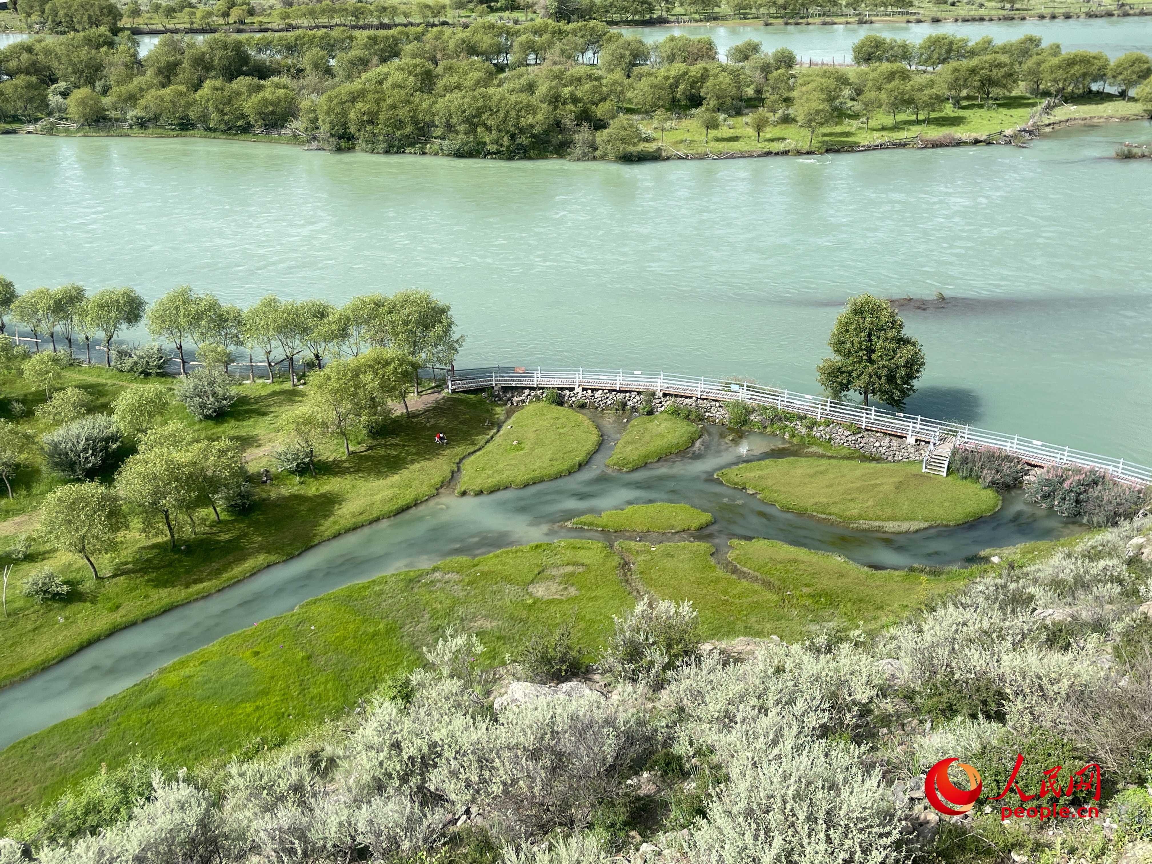 夏日的雅尼國家濕地公園生機(jī)盎然，如詩如畫。人民網(wǎng) 周靜圓攝