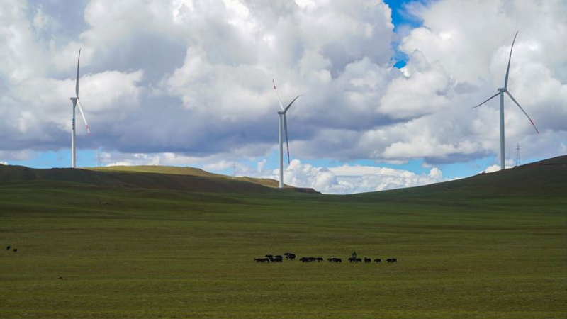 西藏措美哲古風(fēng)電場(chǎng)首批3.6兆瓦風(fēng)電機(jī)組并網(wǎng)發(fā)電。受訪者供圖