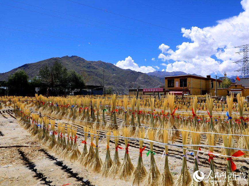 幸福生活曬出來(lái)。人民網(wǎng) 李海霞攝