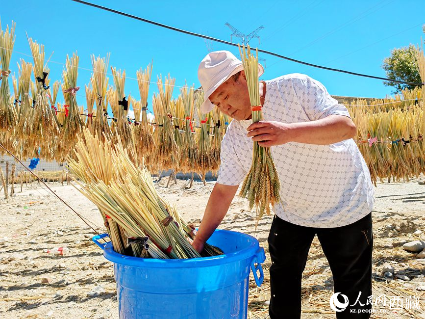 幸福生活曬出來(lái)。人民網(wǎng) 李海霞攝