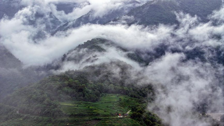 秋日里的墨脫云海。張澤坤攝