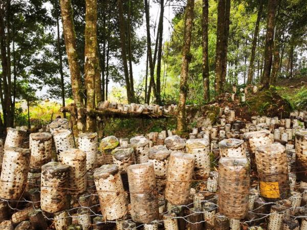 幾代建設(shè)者，歷經(jīng)半個多世紀(jì)完成！這是一條怎樣的公路？