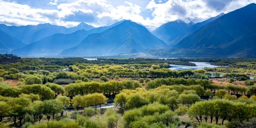 西藏:雅尼濕地秋日風(fēng)光正好