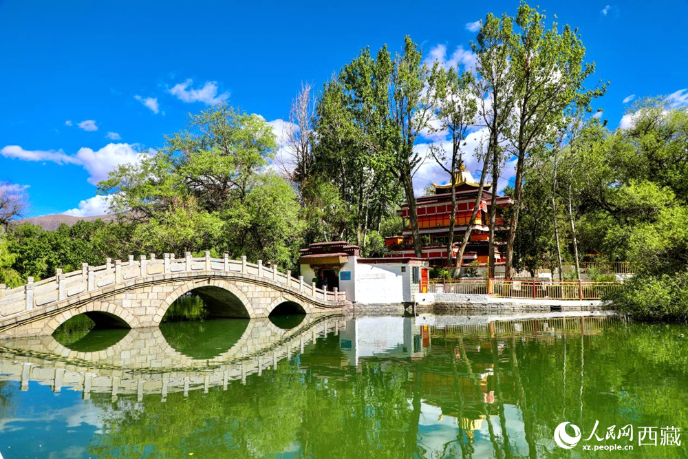 公園內(nèi)綠意盎然。