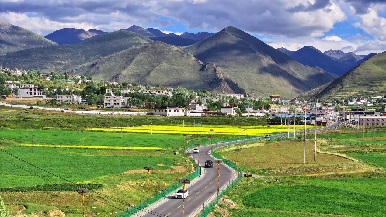 油菜花開“金”滿地。墨竹工卡縣委宣傳部 洛克攝