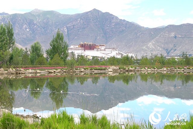 雄偉的布達拉宮與綠意蔥蘢的南山隔河相望。人民網(wǎng)記者 劉凡攝
