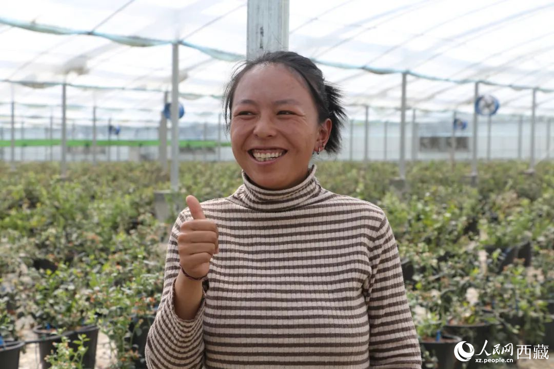 措姆品嘗自己精心照料的藍莓后，豎起了大拇指。次仁龍布攝