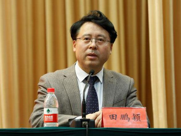 田鵬穎：投入其中、樂在其中、安身其中