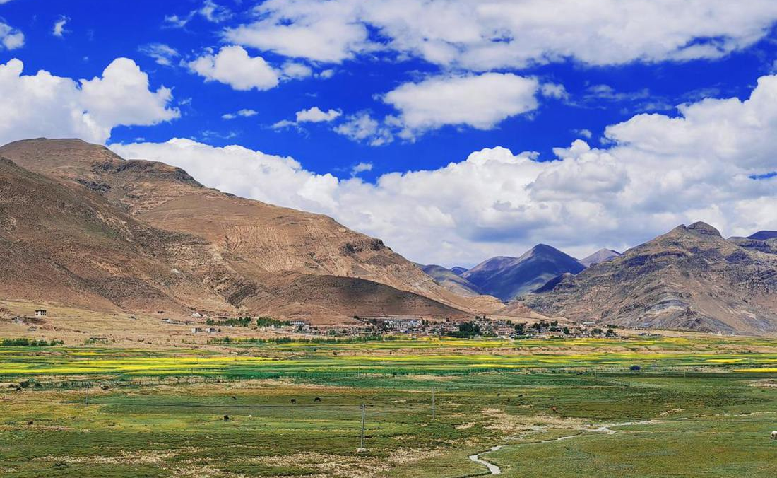 羌塘草原上的美好圖景。人民網(wǎng) 李海霞攝